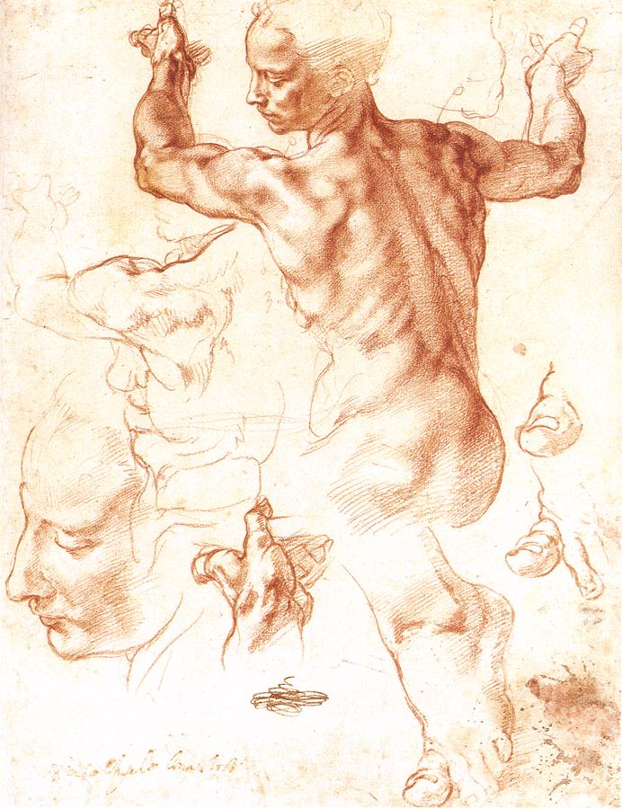 Michelangelo, Study for the Libyan Sibyl (c. 1511)