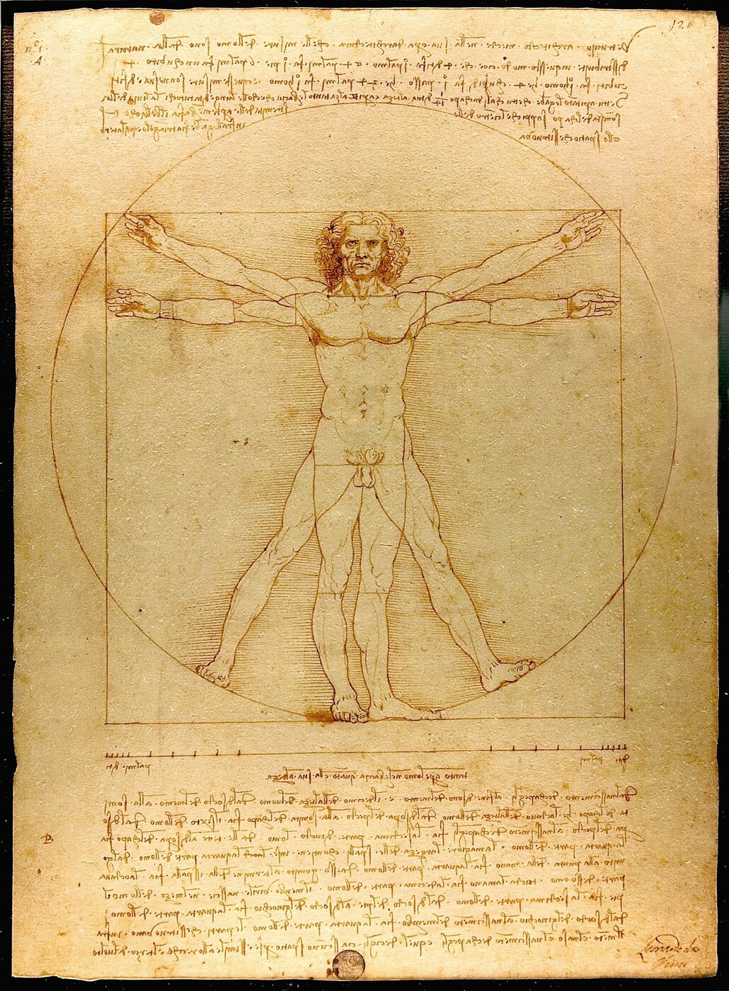 Leonardo da Vinci, Vitruvian Man (c. 1490)