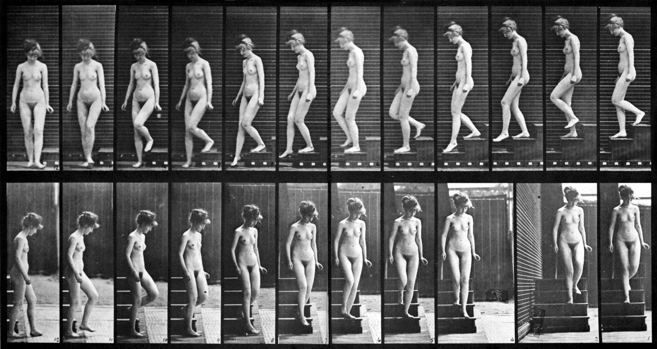 Eadweard Muybridge motion study of a female nude walking downstairs
