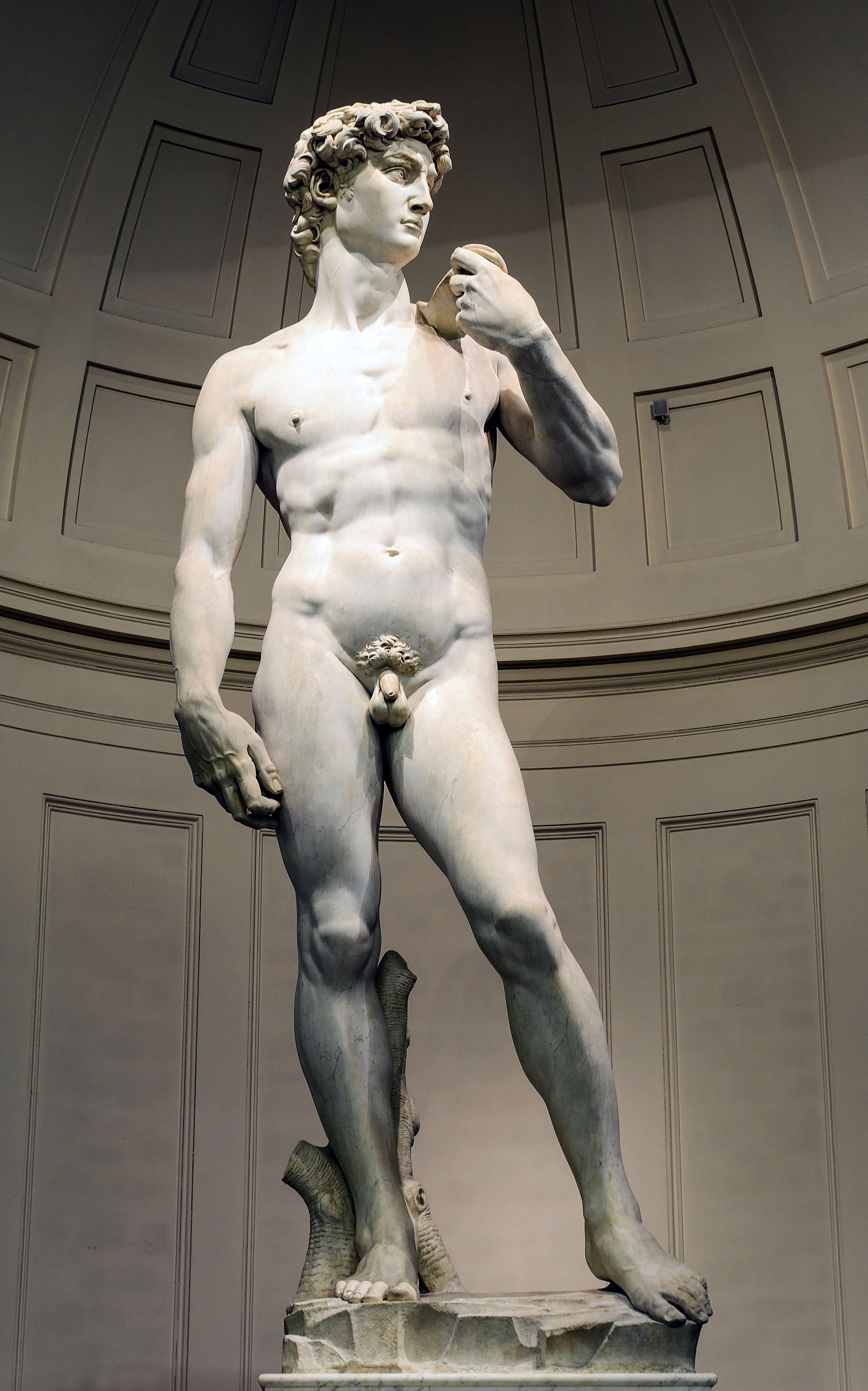 Michelangelo, David, 1501-1504, Galleria dell'Accademia, Florence