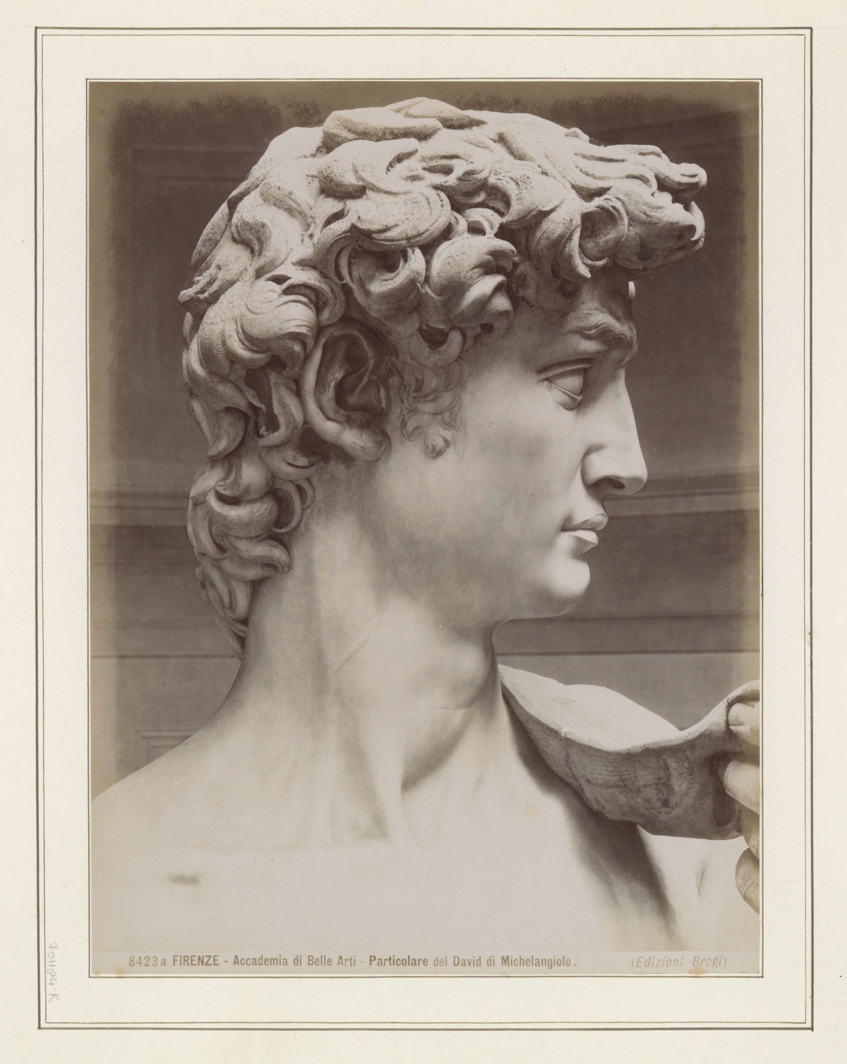 Detail of the head and upper body of Michelangelo's David