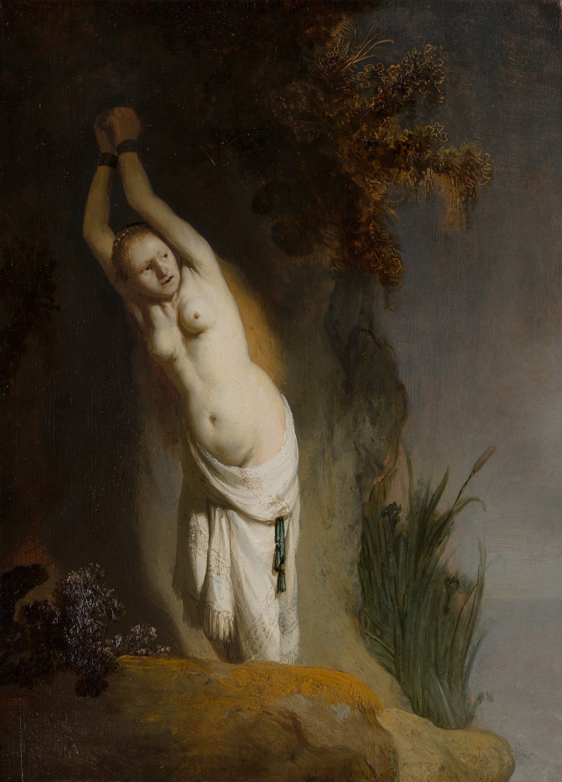 Rembrandt van Rijn, Andromeda Chained to the Rocks, c. 1631